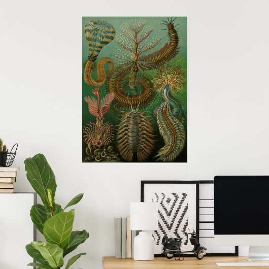 Haeckel Centipedes Poster (Heimbüro)
