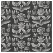 Haeckel Chiroptera 1904 Stoff (Nahaufnahme)