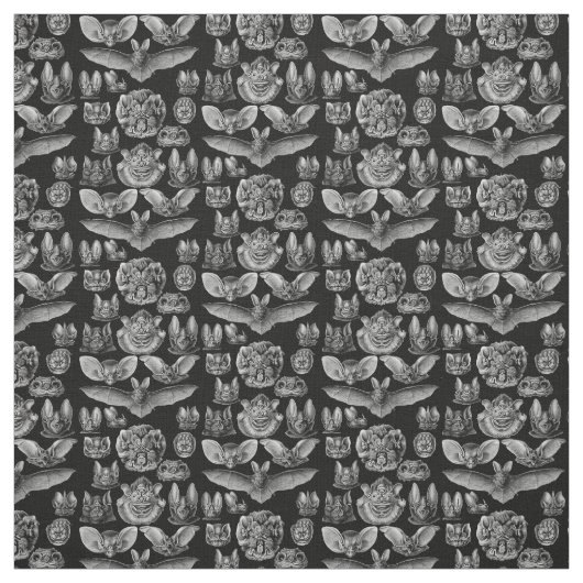 Haeckel Chiroptera 1904 Stoff (Muster)