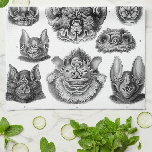 Haeckel Chiroptera Handtuch (Gefaltet)