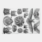 Haeckel Chiroptera Handtuch (Horizontal)