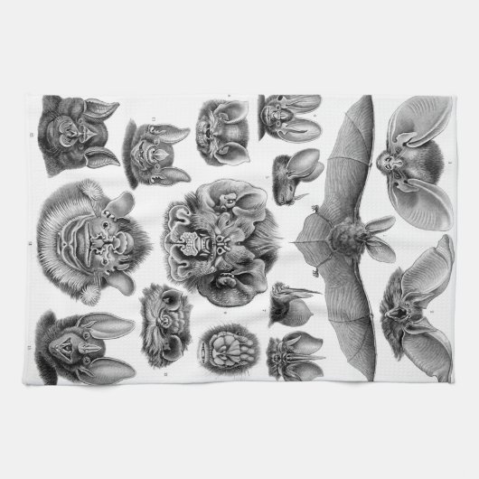 Haeckel Chiroptera Handtuch (Horizontal)