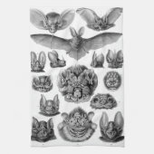 Haeckel Chiroptera Handtuch (Vertikal)