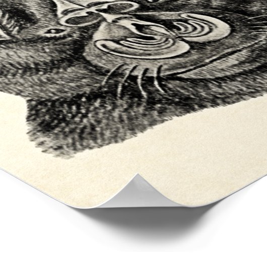 Haeckel Chiroptera Poster (Ecke)