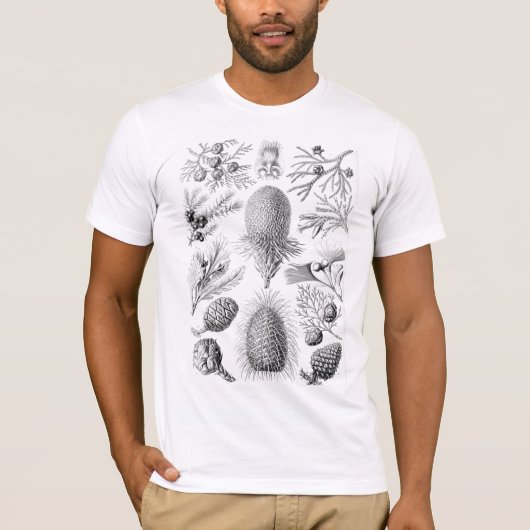 Haeckel Conifer Illustration T-Shirt (Vorderseite)