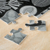 Haeckel Diatomea Puzzle (Seite)