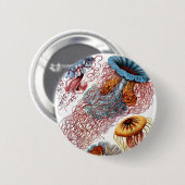 Haeckel Discomedusae Button (Vorne & Hinten)