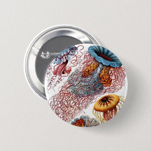 Haeckel Discomedusae Button (Vorne & Hinten)