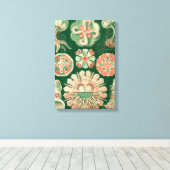 Haeckel Discomedusae Leinwanddruck (Insitu (Holzboden))