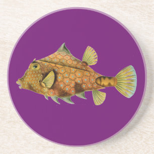 Haeckel-Fisch Getränkeuntersetzer