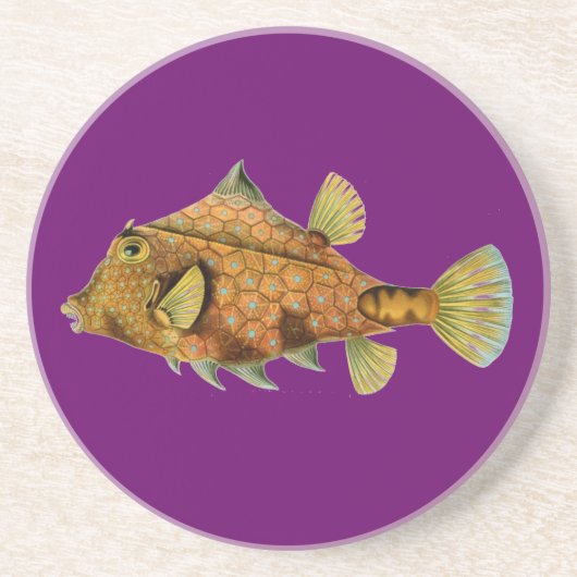 Haeckel-Fisch Getränkeuntersetzer (Vorne)