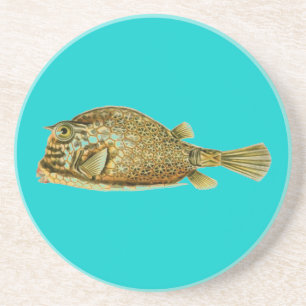 Haeckel-Fisch Getränkeuntersetzer