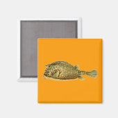 Haeckel-Fisch Magnet (Vorderseite/Rückseite)