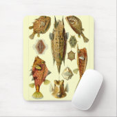 Haeckel-Fisch Mousepad (Mit Mouse)