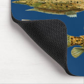 Haeckel-Fisch Mousepad (Ecke)