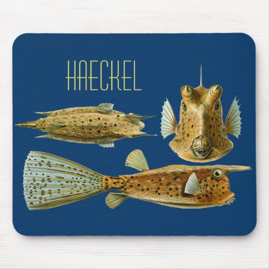 Haeckel-Fisch Mousepad (Vorne)