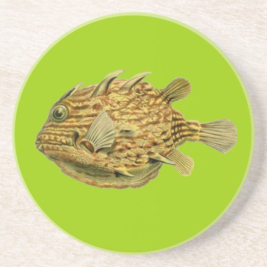 Haeckel-Fisch Untersetzer (Vorne)