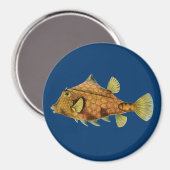 Haeckel Fish Magnet (Vorderseite/Rückseite)