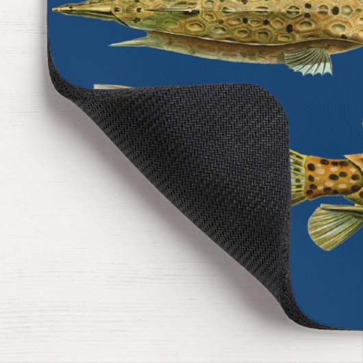 Haeckel Fish Mousepad (Ecke)