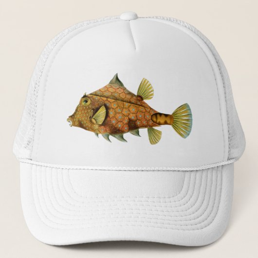 Haeckel Fish Truckerkappe (Vorderseite)