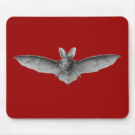 Haeckel-Fledermaus Mousepad (Vorne)