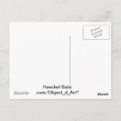 Haeckel-Fledermaus Postkarte (Rückseite)