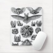 Haeckel-Fledermäuse Mousepad (Mit Mouse)