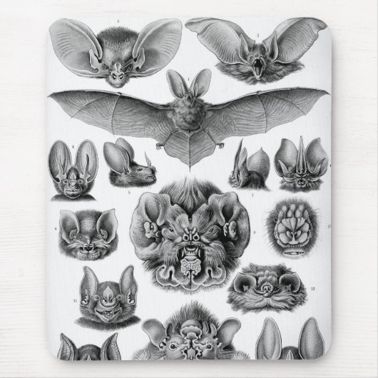 Haeckel-Fledermäuse Mousepad (Vorne)