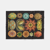 Haeckel Fleece-Decke Fleecedecke (Vorderseite (Horizontal))