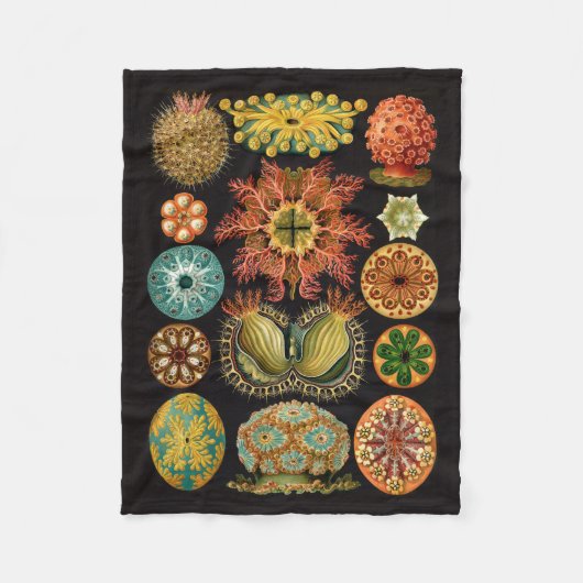 Haeckel Fleece-Decke Fleecedecke (Vorderseite)