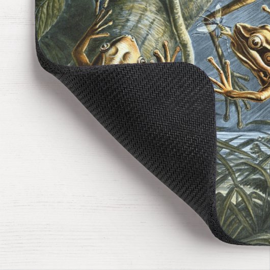 Haeckel Frogs Mousepad (Ecke)