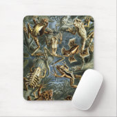 Haeckel Frogs Mousepad (Mit Mouse)