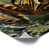 Haeckel Frogs Poster (Ecke)