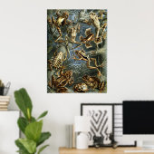 Haeckel Frogs Poster (Heimbüro)