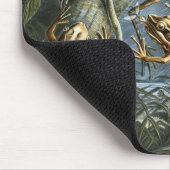 Haeckel Frösche Mousepad (Ecke)