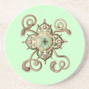 Haeckel Getränkeuntersetzer