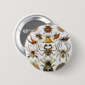 Haeckel Golden Spiders Platte 66 Button (Vorne & Hinten)
