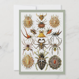 Haeckel Golden Spiders Platte 66 Einladung
