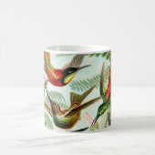 Haeckel Hummingbirds Kaffeetasse (Mittel)