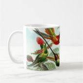 Haeckel Hummingbirds Kaffeetasse (Links)