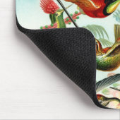 Haeckel Hummingbirds Mousepad (Ecke)