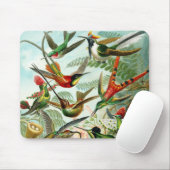 Haeckel Hummingbirds Mousepad (Mit Mouse)