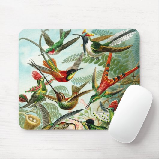 Haeckel Hummingbirds Mousepad (Mit Mouse)
