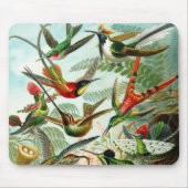 Haeckel Hummingbirds Mousepad (Vorne)