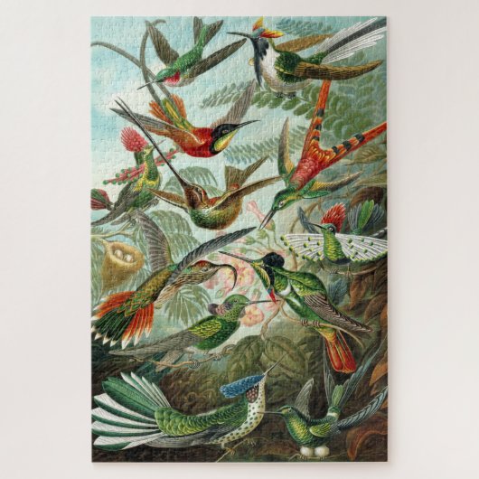Haeckel Hummingbirds Puzzle (Vertikal)