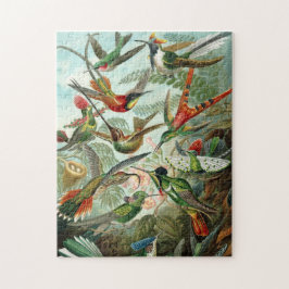 Haeckel Hummingbirds Puzzle