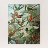 Haeckel Hummingbirds Puzzle (Vertikal)