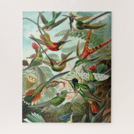 Haeckel Hummingbirds Puzzle
