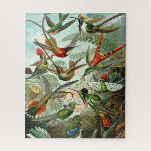 Haeckel Hummingbirds Puzzle (Vertikal)