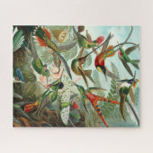 Haeckel Hummingbirds Puzzle (Horizontal)